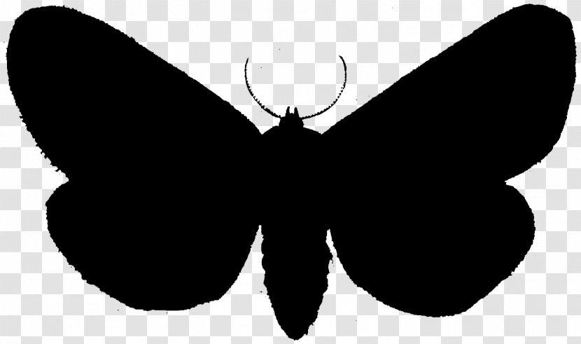 Brush-footed Butterflies Moth Clip Art Black Silhouette - Brushfooted Transparent PNG
