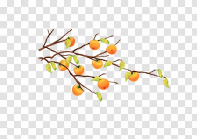 Cartoon Fruit Tree Tangerine - Japanese Persimmon - Yellow Autumn Leaves Orange Branch Transparent PNG