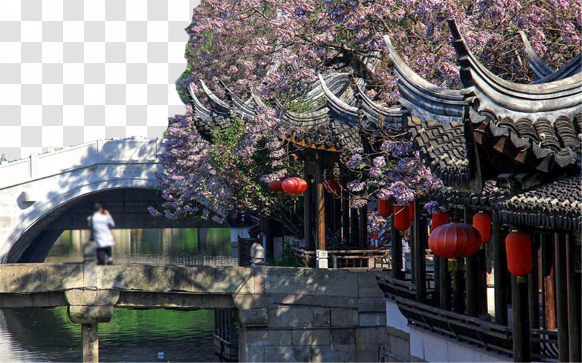 Anting Nanxiang Ancient Town West Lake U4e25u6cd7u6865 - Shanghai - Jiading Xiang Transparent PNG