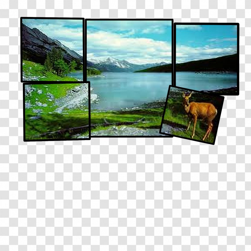 Television Landscape Display Device Ecosystem Technology - Filmstrip Transparent PNG