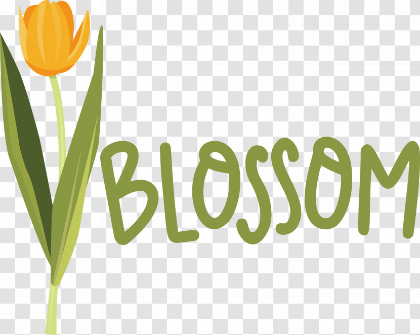 Flower Plant Stem Logo Font Tulip Transparent PNG