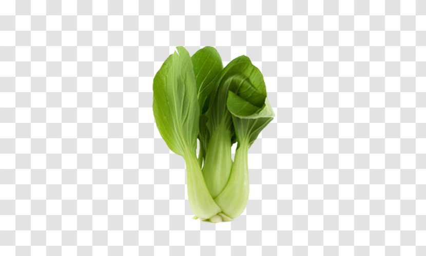 Bok Choy Chinese Cabbage Clip Art - Leaf Vegetable - Clipart Transparent PNG