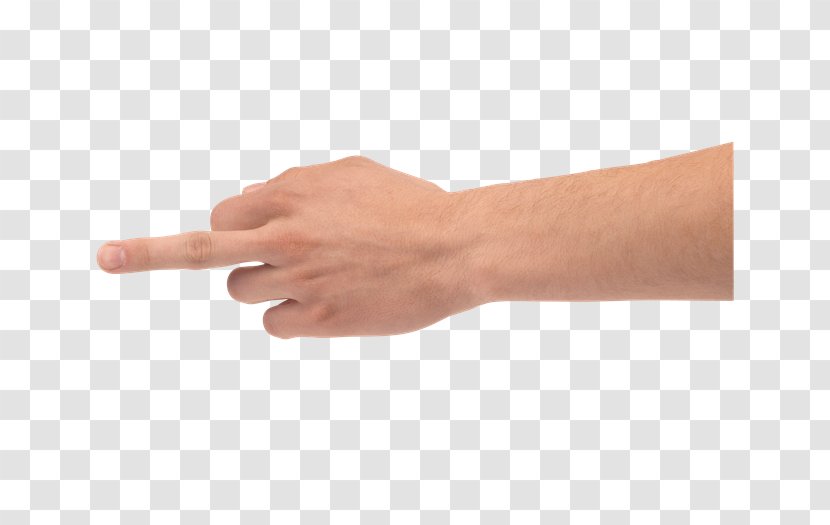 Thumb Hand Model Nail - Arm - Anatomia Transparent PNG