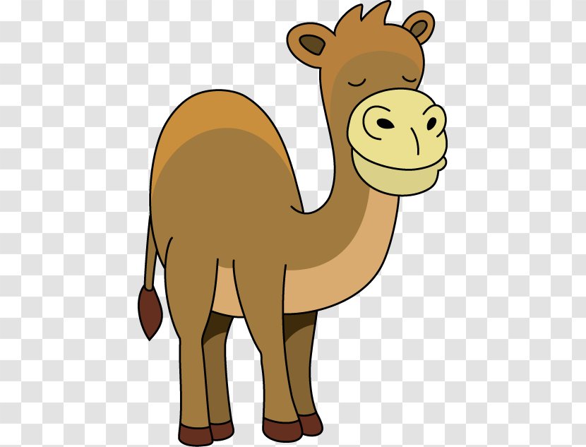 Dromedary Cat Animal Mammal Camel - Organism - Stakes Transparent PNG