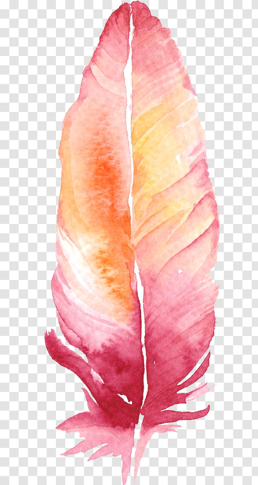 Pink Feather Download - Watercolor Painting - Creative Floral Flowers,Colorful Feathers Transparent PNG