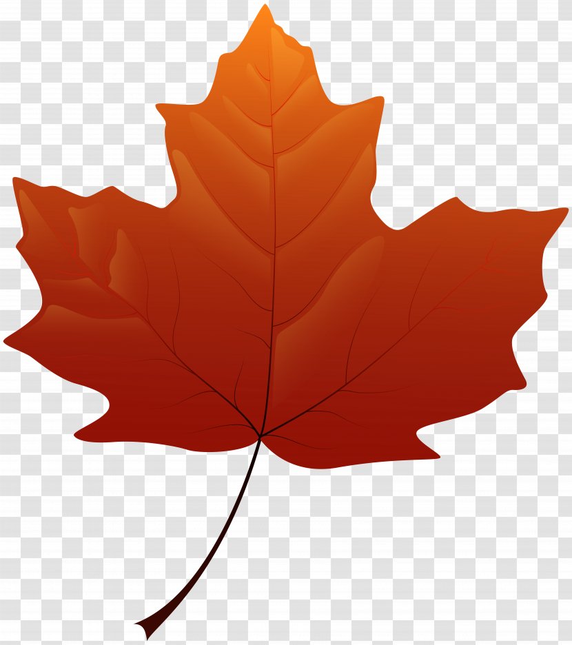 Maple Leaf Yellow Clip Art - Tree - Autumn Leaves Transparent PNG