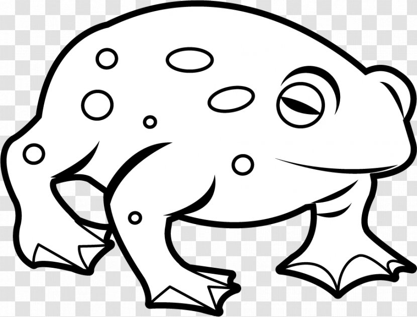 Frog And Toad Amphibian Clip Art - Tree - Free Cliparts Amphibians Transparent PNG