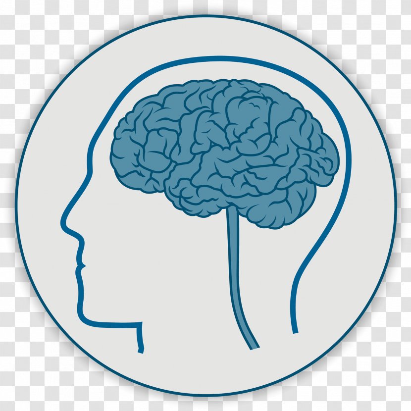 Human Brain Neurosurgery Health Medicine - Neurology Transparent PNG