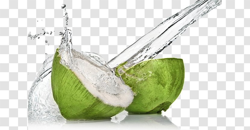 Coconut Water Sports & Energy Drinks Juice Milk - Still Life Photography Transparent PNG