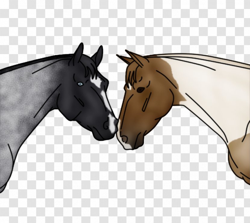 Mane Mustang Rein Stallion Colt - Snout Transparent PNG