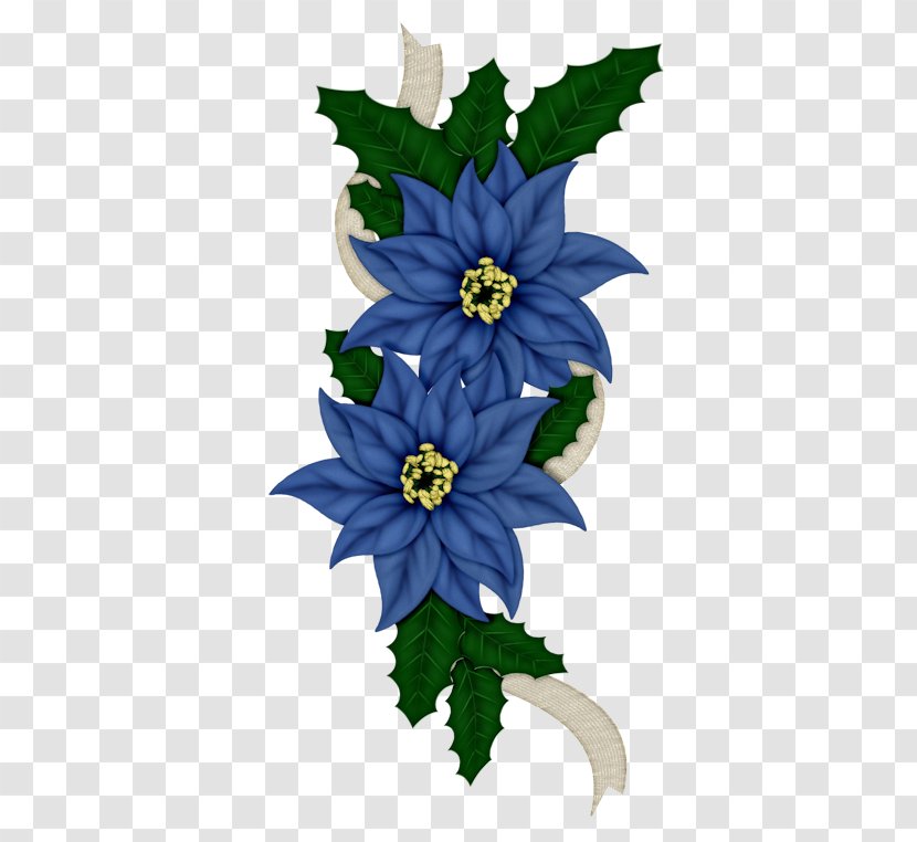 Christmas Poinsettia - Leaf - Edelweiss Wildflower Transparent PNG