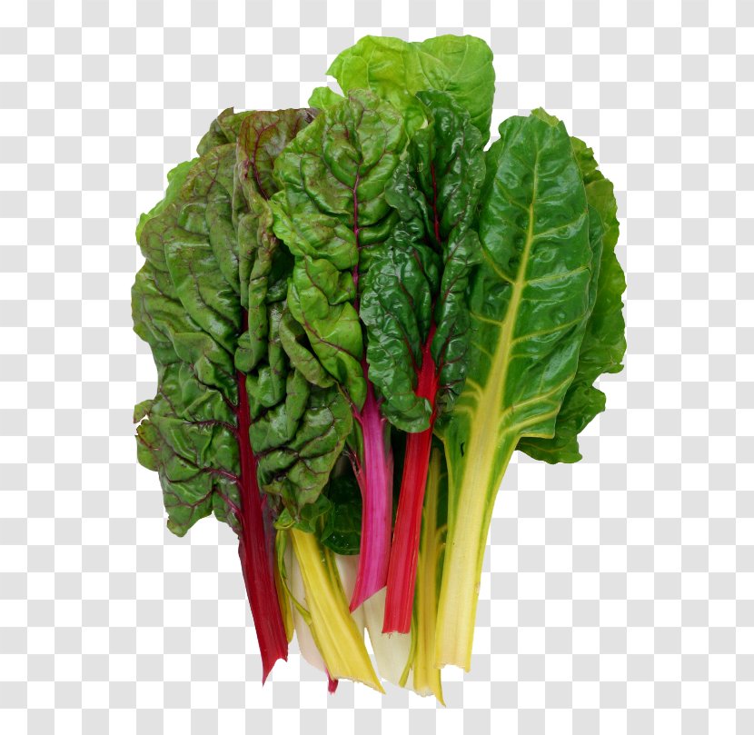 Chard Vegetable Greens Beetroots Recipe - Bright Lights Swiss Transparent PNG