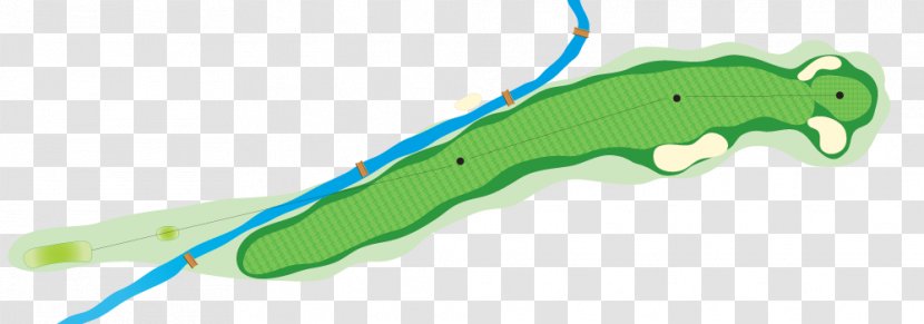 Golf Course Par - Organism Transparent PNG