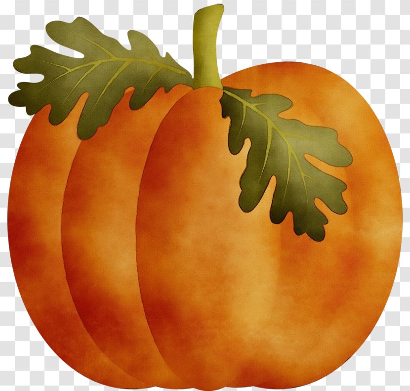 Pumpkin - Tree - Winter Squash Cucurbita Transparent PNG