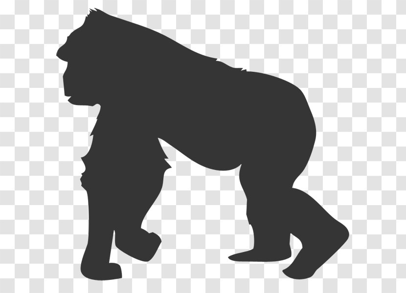 Gorilla Mammal Animal Cat T-shirt - Wildlife - Clipart Transparent PNG