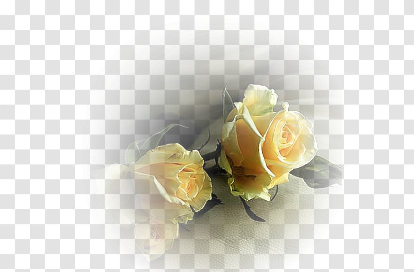 Our Lady Of Fátima Death Love Desktop Wallpaper - Floral Design - Flowers And Birds Transparent PNG