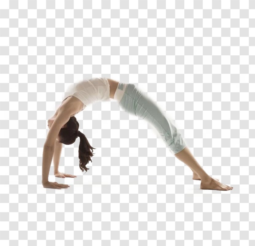 Yoga Instructor Asana Wrist Forearm - Professional Training Transparent PNG
