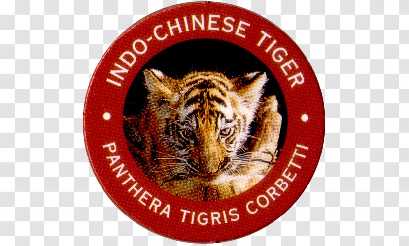 Tiger Channelview Independent School District Whiskers Snout Transparent PNG