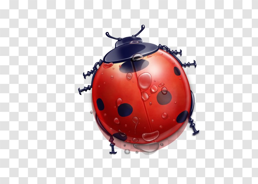 Ladybird Cartoon Download - Ladybug Transparent PNG