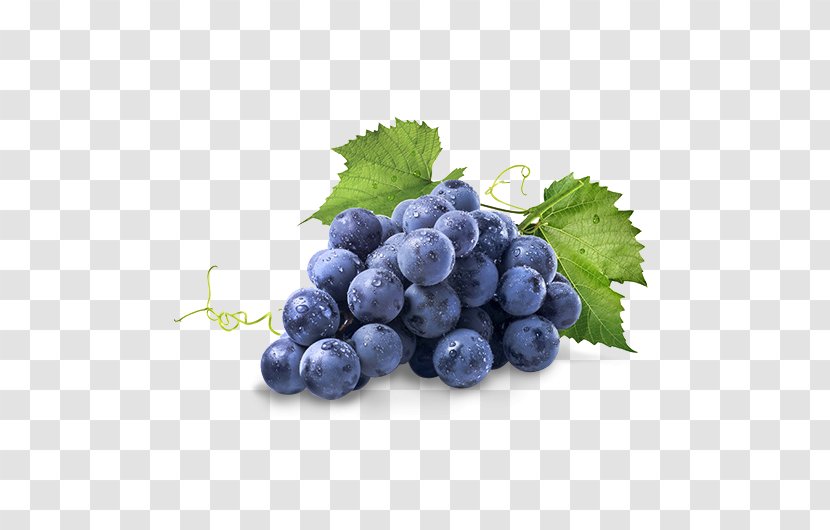 Concord Grape Common Vine Isabella Stock Photography - Seedless Fruit - Raisin Transparent PNG