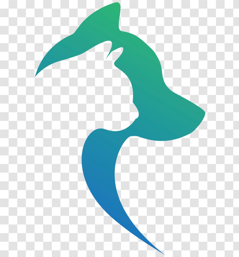 Cat Dog All-Pet Groomery And Boarding Roosevelt Veterinary Clinic Veterinarian - Whales Dolphins Porpoises Transparent PNG