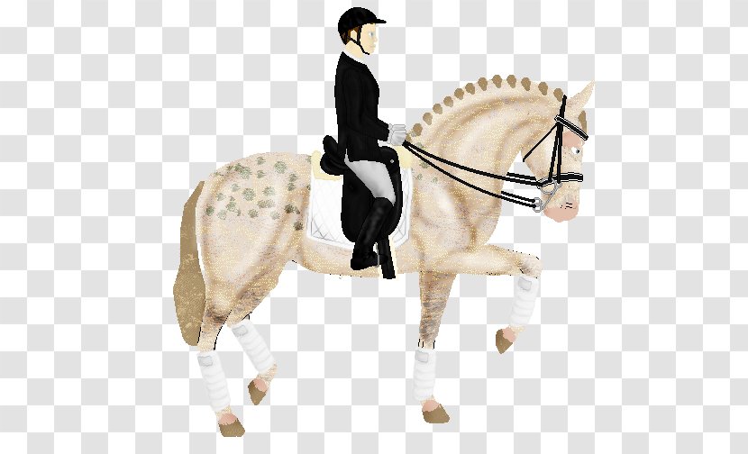 Hunt Seat Stallion Pony Bridle Horse - Equestrian Sport Transparent PNG