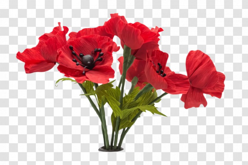 Flowers Background - Do It Yourself - Poppy Family Hippeastrum Transparent PNG