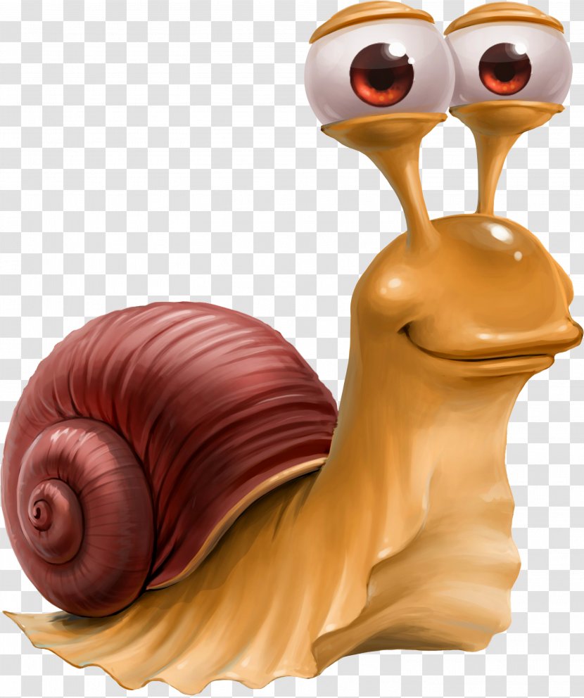 Escargot Snail Caracol - Photography - Snails Transparent PNG