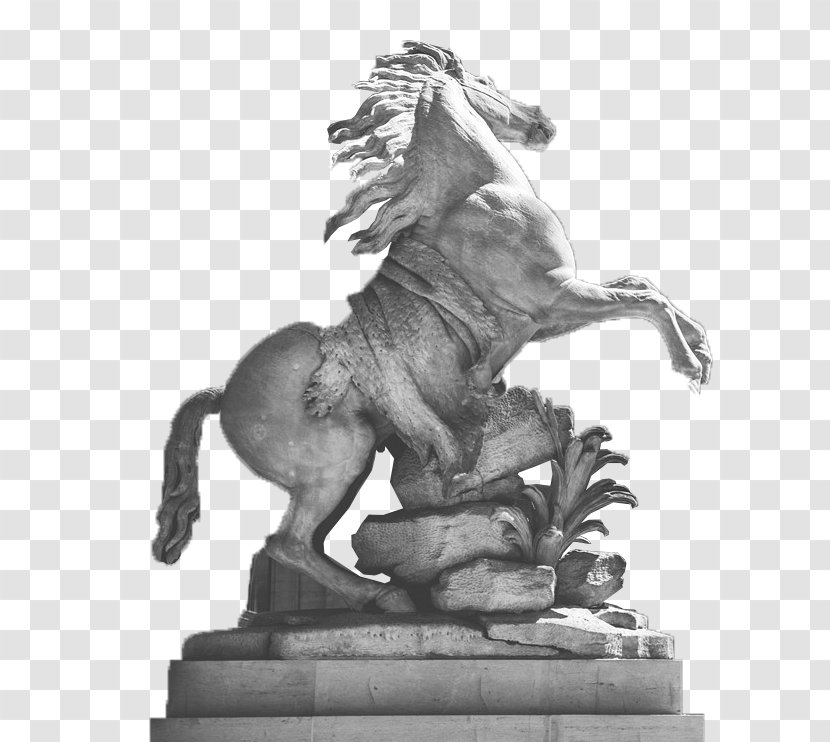 Musée Du Louvre Statue Sculpture - Classical - Pegasus Transparent PNG