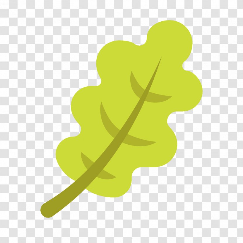 Leaf Oak - Plant - Green Leaves Transparent PNG