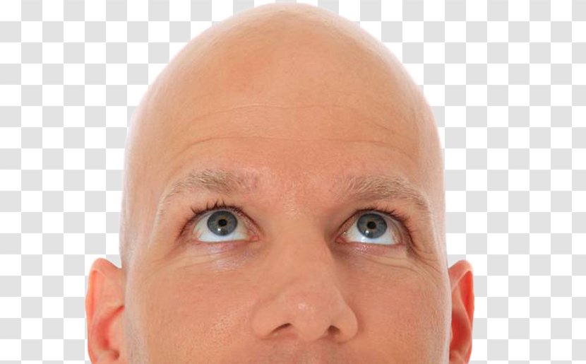 Management Of Hair Loss The Bald Facts Comb - Nose Transparent PNG