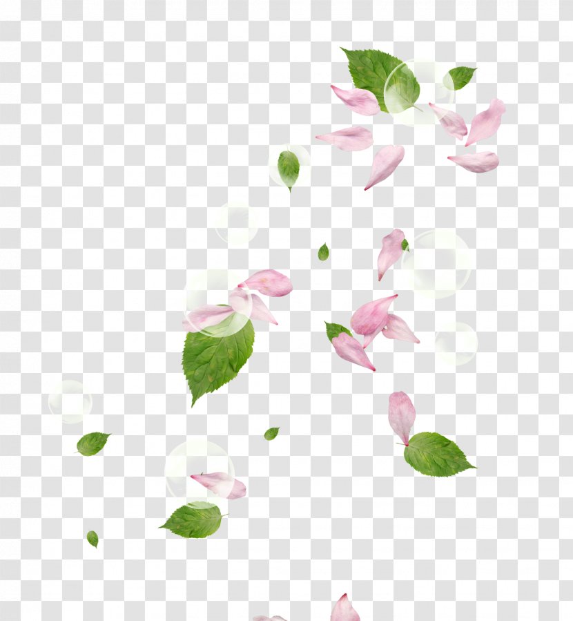 Petal Flower Pink - Floral Design - Peach Petals,Pink Transparent PNG