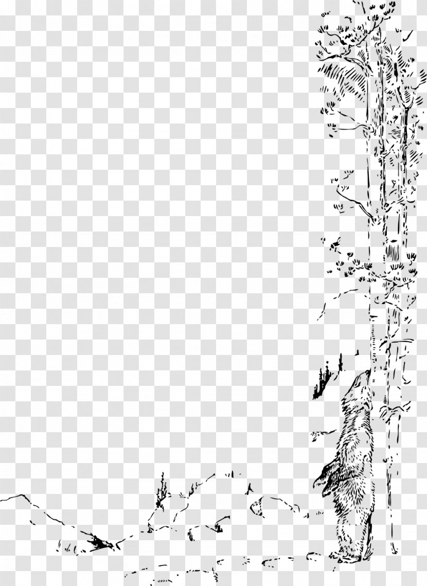 Bear Clip Art - Twig - Scratchs Transparent PNG