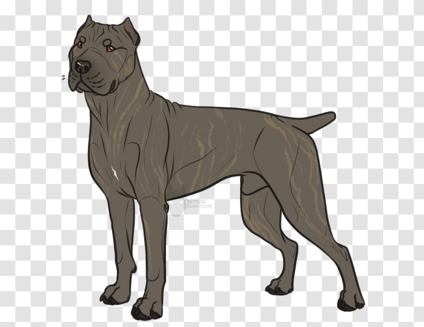 Ancient Dog Breeds Great Dane - Carnivoran Transparent PNG