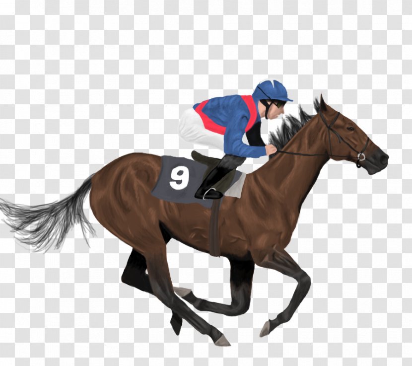 Icelandic Horse Jockey Racing - Rearing - Runner Transparent PNG