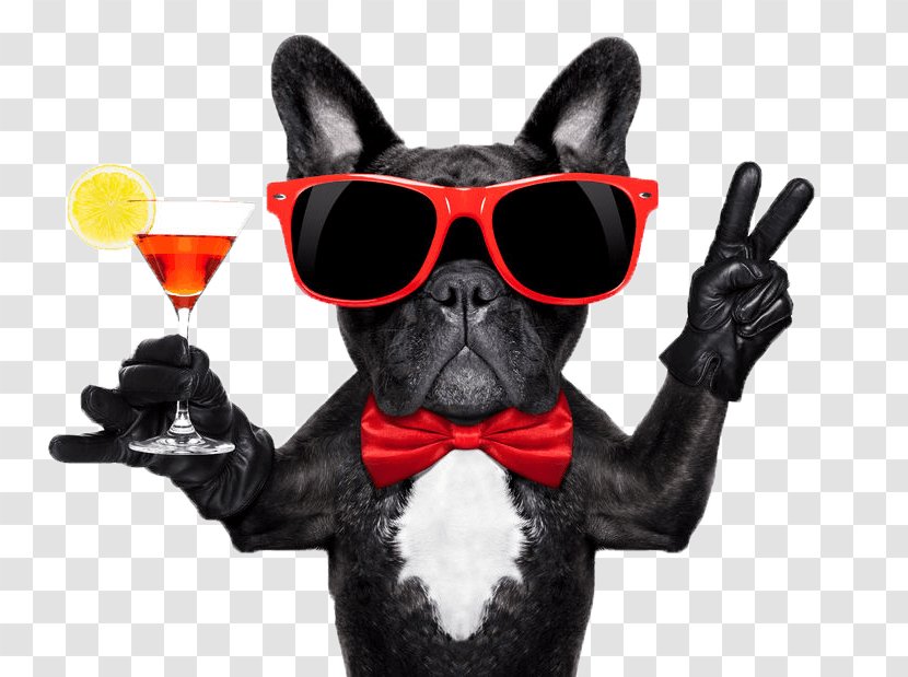 Dog Cocktail Glass Martini Party - Glasses Transparent PNG