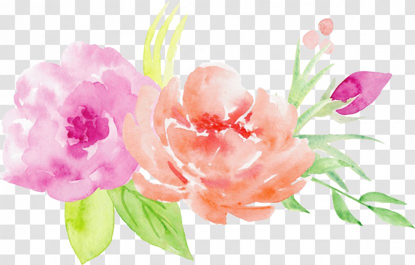 Watercolor Painting Flower Bouquet Illustration - Drawing - Of Roses Decorative Pattern Transparent PNG