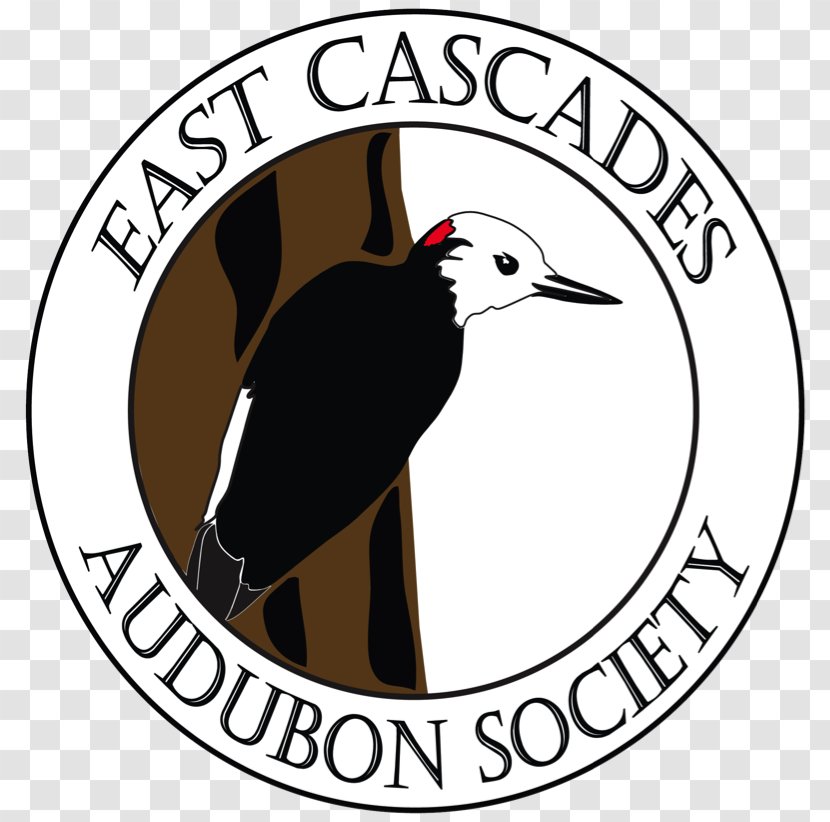 National Audubon Society Association Of Letter Carriers Ligonier Organization Bird - Birdwatching - East Jordan Transparent PNG