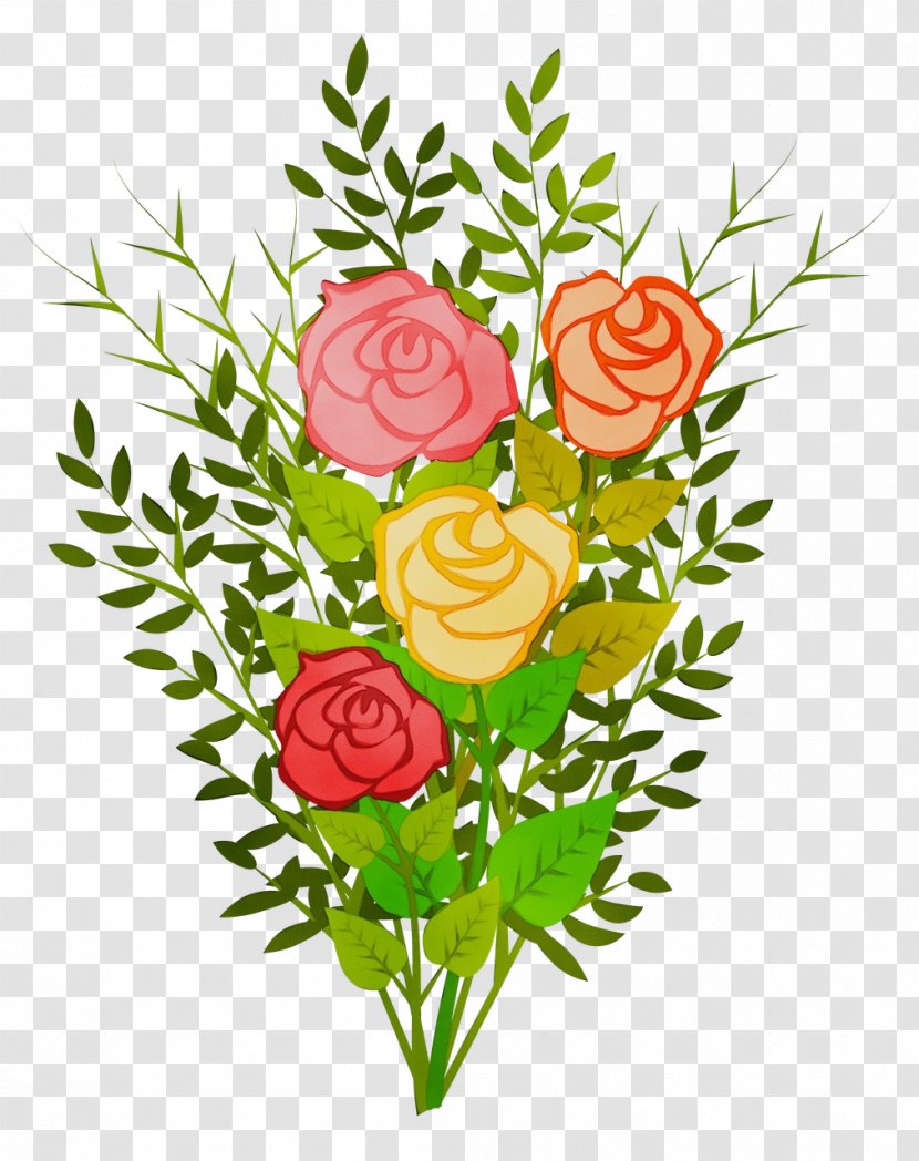 Flower Art Watercolor - Garden Roses - Floristry Transparent PNG