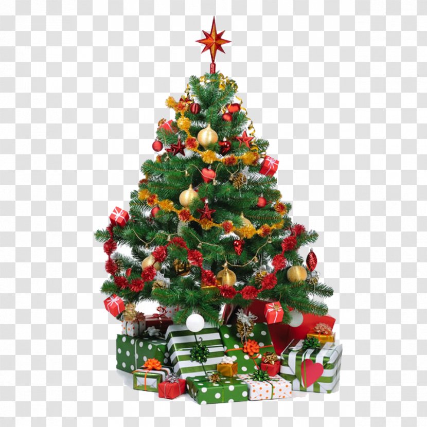 Christmas Tree Tradition Gift Transparent PNG