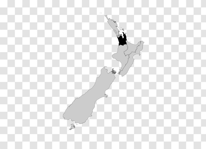 Hauraki-Waikato Auckland Nelson Te Tai Hauāuru - Joint - Map Transparent PNG