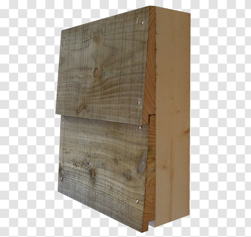 Lumber Larix Sibirica Wood Rabat Essence Forestière - Cedar Transparent PNG