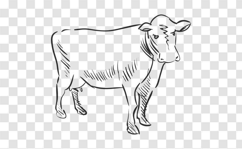 Cattle Drawing Clip Art - Goats - Cow Man Transparent PNG
