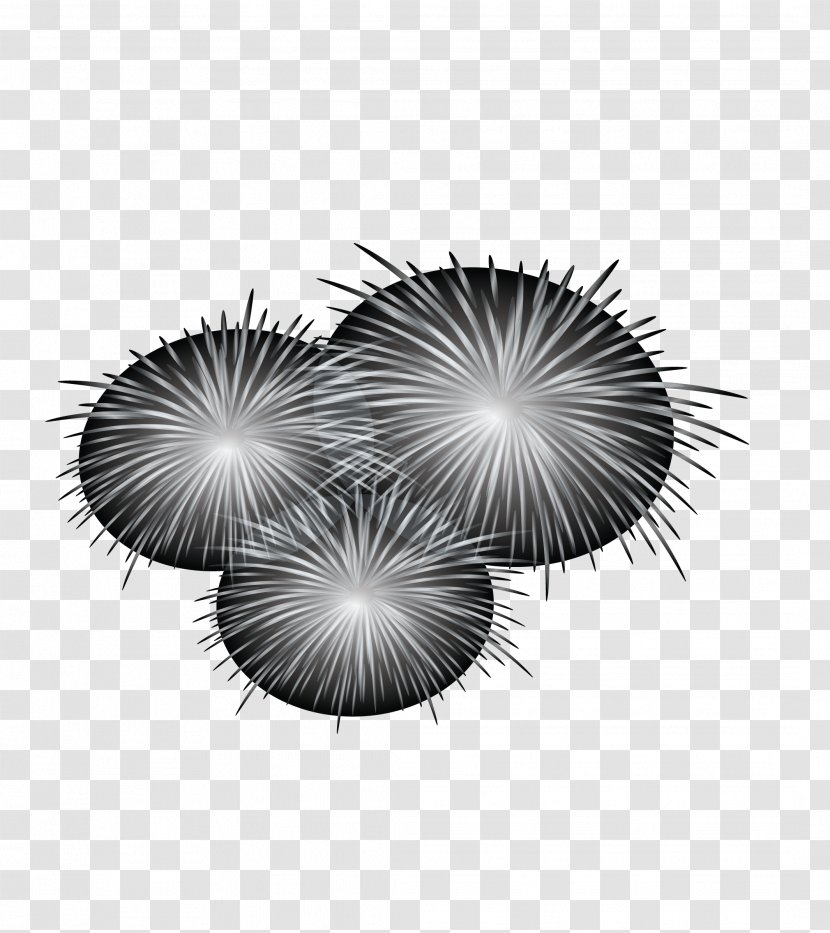 Black And White Pattern - Monochrome Photography - Vector Light Fireworks Transparent PNG
