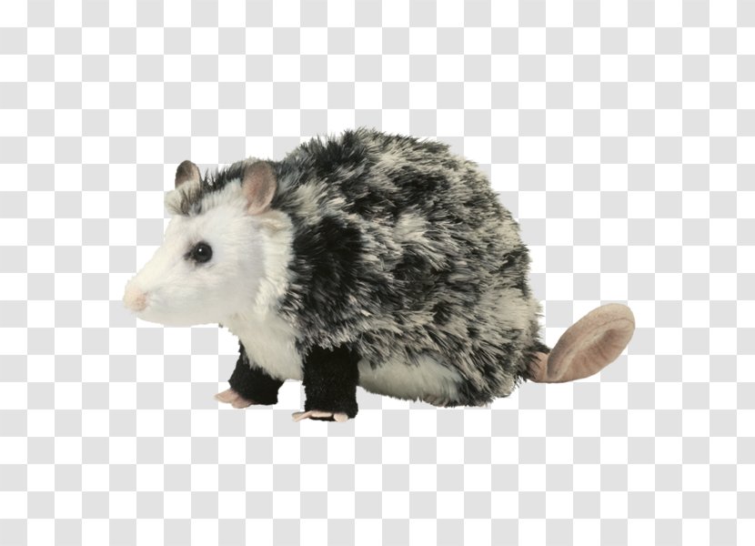 Amazon.com Stuffed Animals & Cuddly Toys Plush Opossum Phalangeriformes - Tree - Toy Transparent PNG