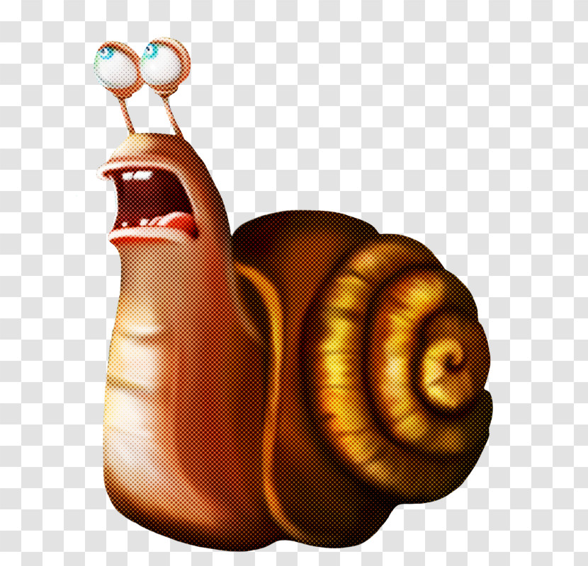 Snails And Slugs Snail Sea Snail Lymnaeidae Still Life Transparent PNG