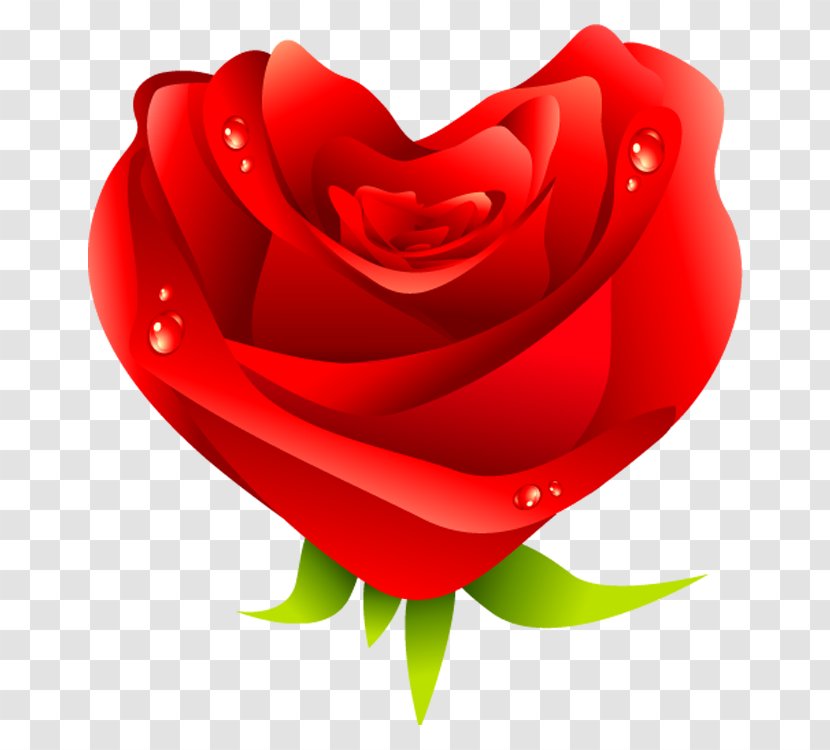 Love Heart Valentines Day - Symbol - Rose Transparent PNG