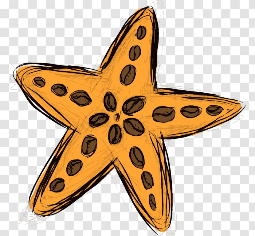 Starfish Symbol Transparent PNG