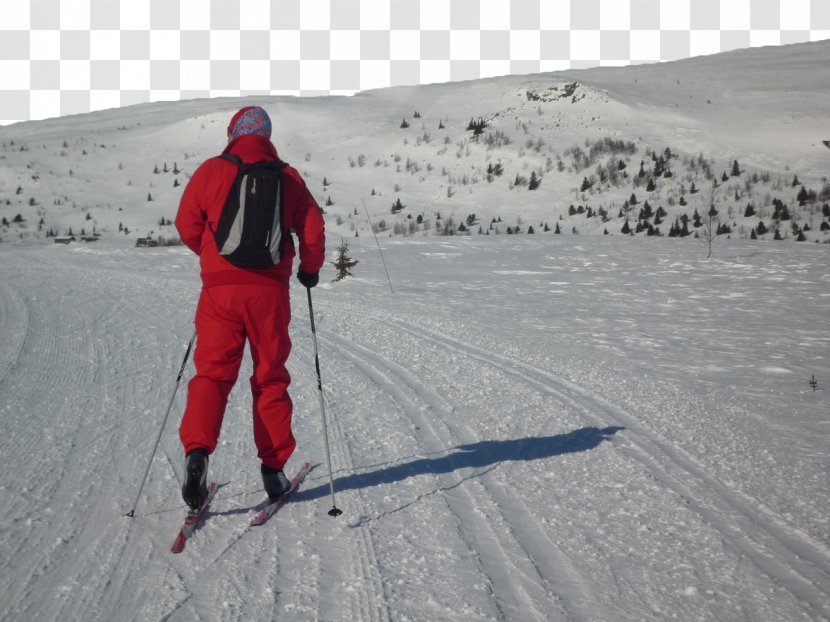 Ski Mountaineering Binding Alpine Skiing Piste - Equipment - Winter Transparent PNG