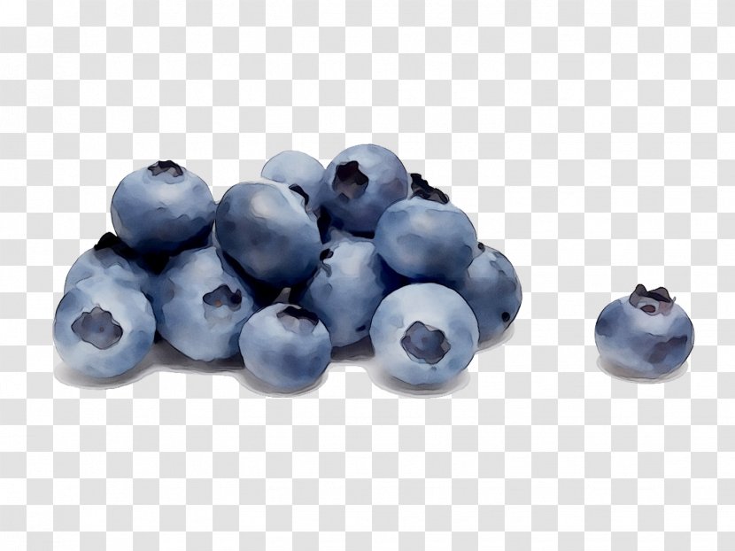 Highbush Blueberry Bilberry Huckleberry - Plant - Constipation Transparent PNG